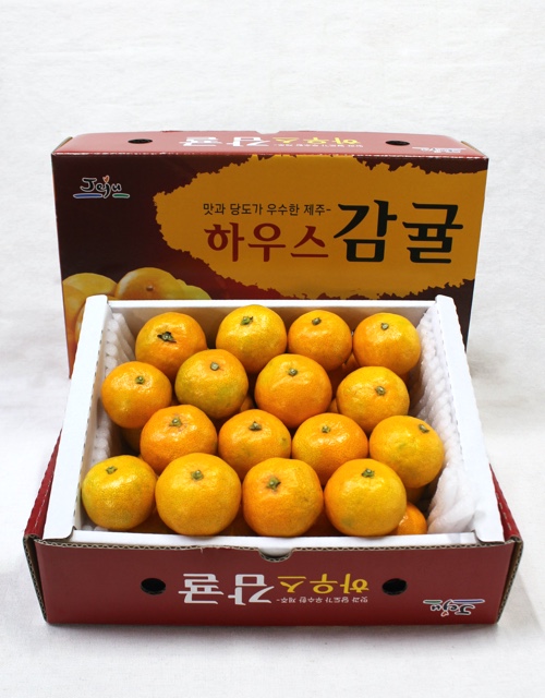 제주 하우스감귤 2 kg