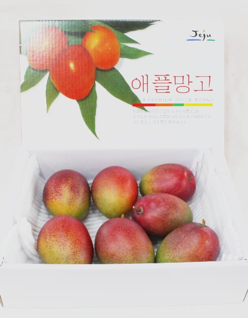 제주산 고당도 최상품 애플망고 3 kg ( 7 ~ 8 과 )