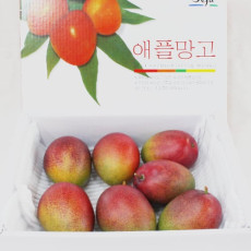 제주산 고당도 최상품 애플망고 3 kg ( 7 ~ 8 과 )