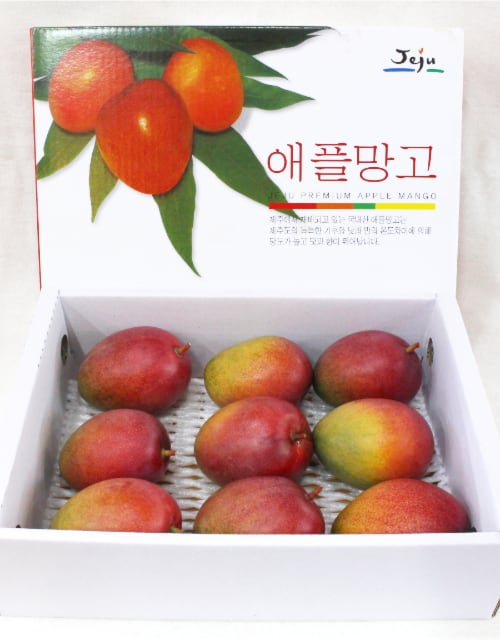 제주 고당도 애플망고 3 kg ( 중과 -9 ~ 10 과 )