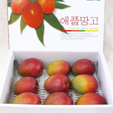 제주 고당도 애플망고 3 kg ( 중과 -9 ~ 10 과 )