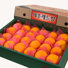 제주 중과 레드향 5 kg (22~24과)